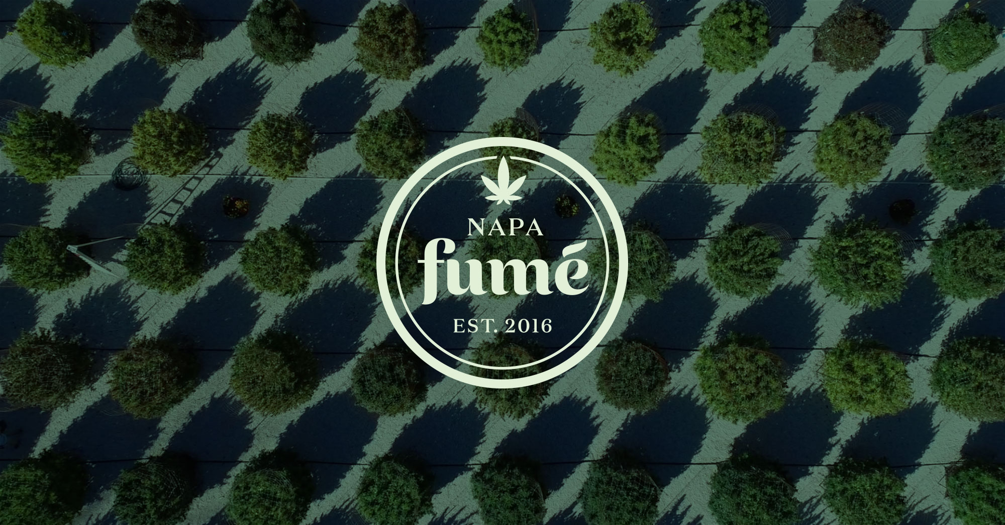Fume_Logo_Slide01