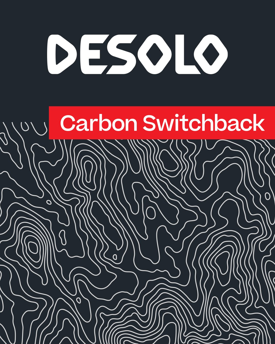 DDD_Linkedin_DesoloSwitchback2